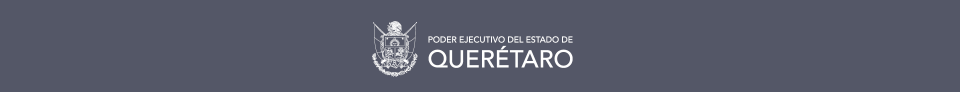 Head Publico